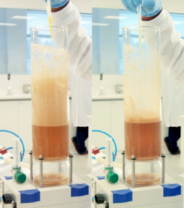 Aplicação de LowFoam Beer no processo de fermentação da cerveja com diminuição da espuma