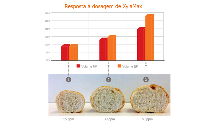 XYLAMAX-RESPOSTA-A-DOSAGEM-DE-XYLAMAX XYLAMAX-RESPOSTA-A-DOSAGEM-DE-XYLAMAX