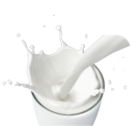Produtos e Soluções – Lácteos